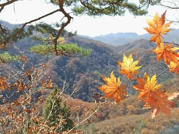 彩神大发官方最高邀请码 